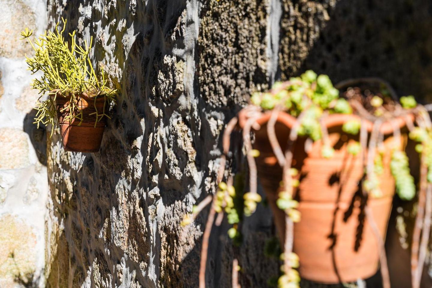Guestready - Feels Like Home In Centre Of Porto Buitenkant foto